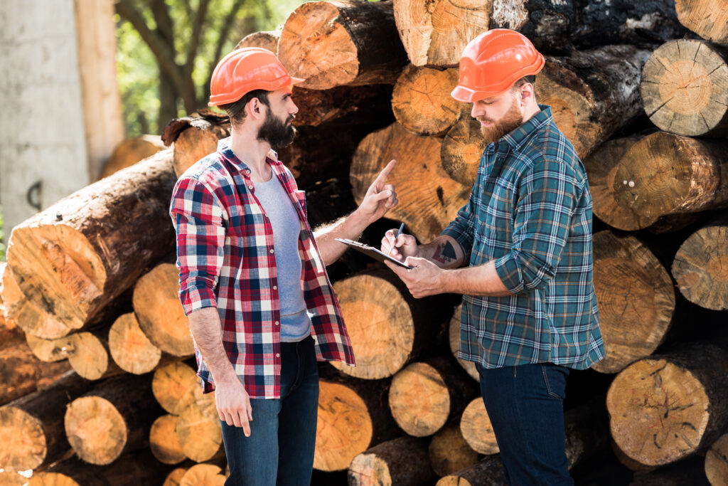 Lumberjack In Protective Helmet Pointing By Finger On Logs To Partner While He Writing In Clipboard