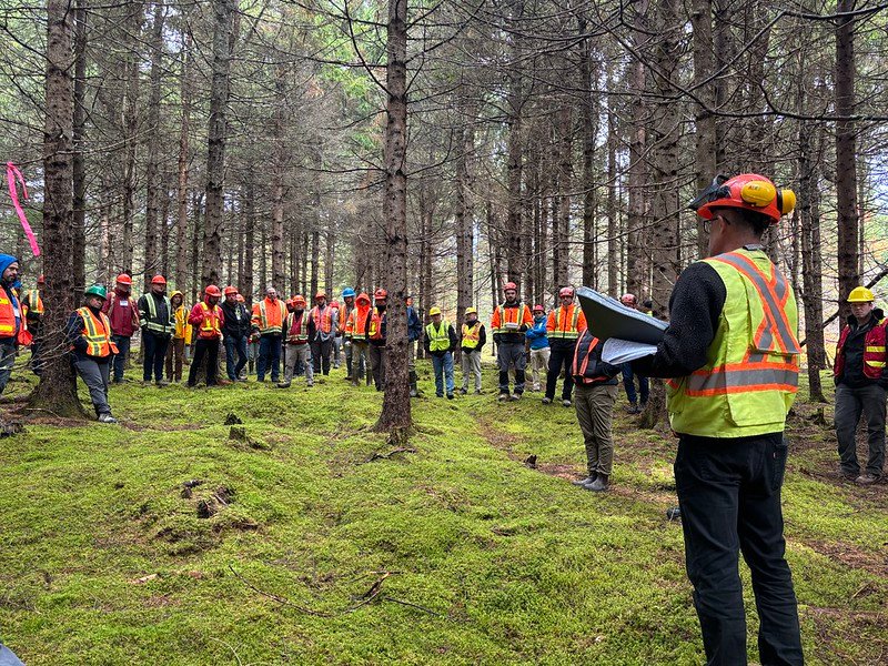 54845367094 717ee5b108 c