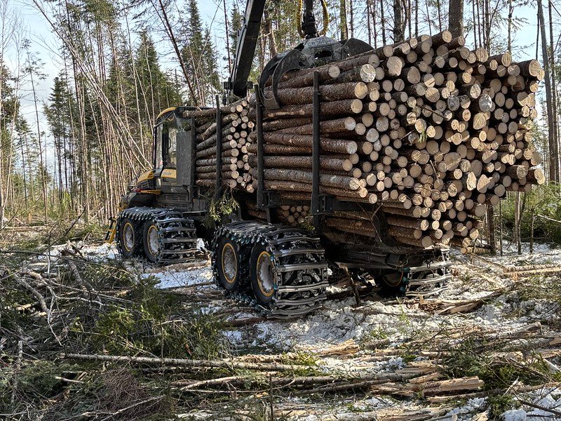 54435502747 b44067b9be c