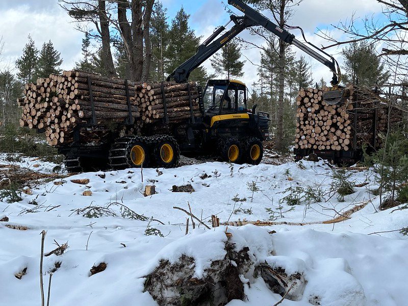 54436388746 549b444183 c