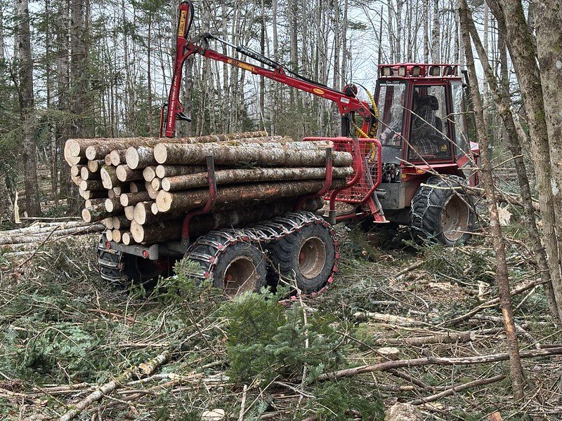 54436582994 d56e821619 c