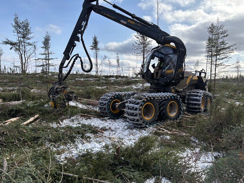 54436730505 5d36f7960d c