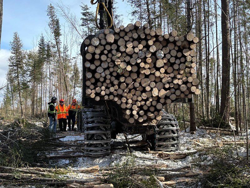 54436730620 47b2b14fa5 c