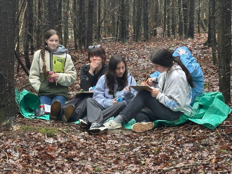 54501510715 722bf2415e c