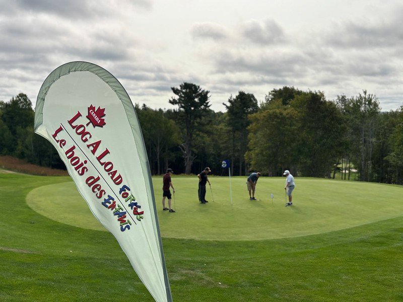 54777531337 175d457602 c